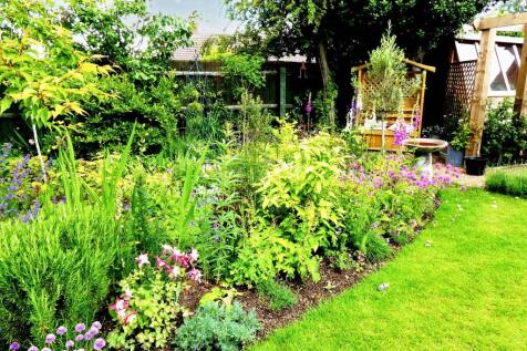 Property Image 42