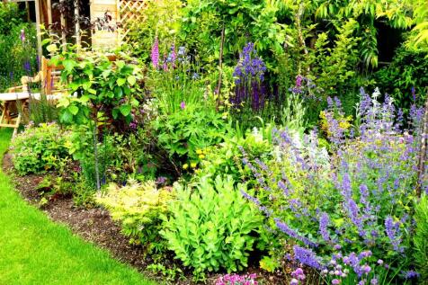 Property Image 44