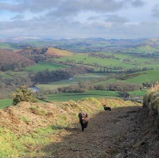 7ea7d746-0585-4ac...