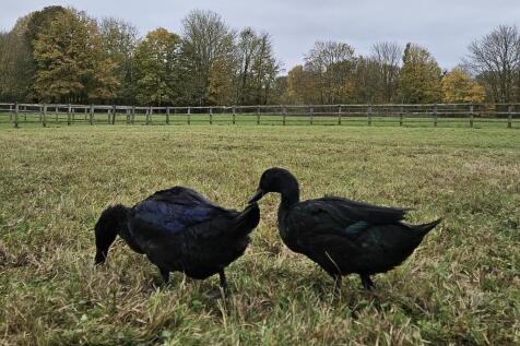 d5289139-a32d-40d...