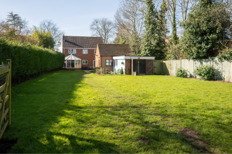 Back Garden