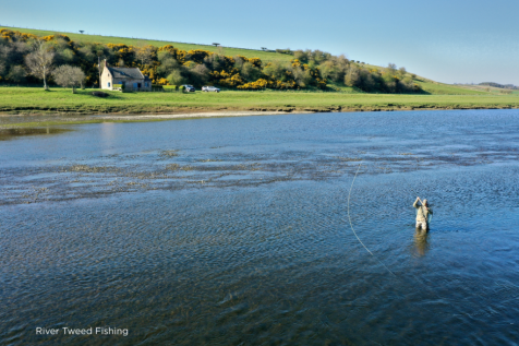 River Tweed Fishing