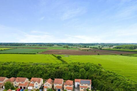 DJI_0663.jpg
