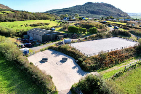 Concrete Feeding Area