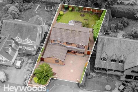 20240924-DJI_0088-Enhanced-SR - Copy