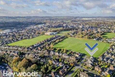 20241114-DJI_0218-Enhanced-SR - Copy