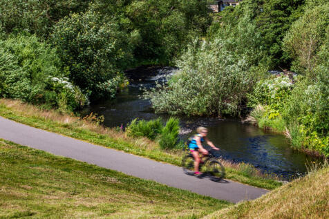 Local area cyclist riding along riverside beside green open space with trees and path