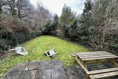 Back garden 
