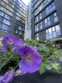 IMG-6544