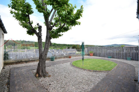 garden .JPG