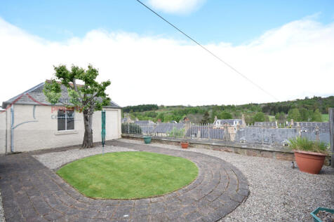 garden 2 .JPG