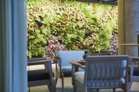A 58m living green wall