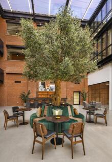 THE PICKLE FACTORY 0623_021.jpg