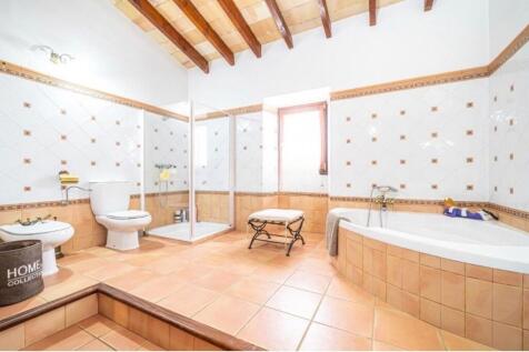 WhatsApp Image 2024-