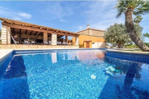 WhatsApp Image 2024-