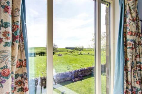 View From Window
