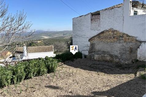 Image 13