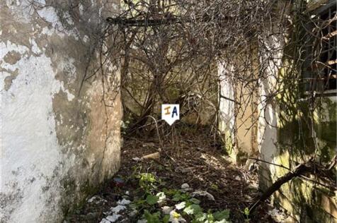 Image 15