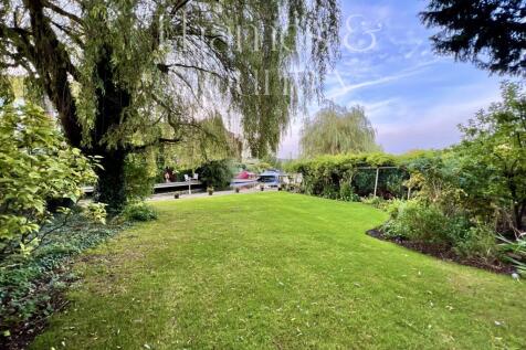 Back Garden