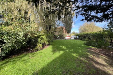 Back Garden