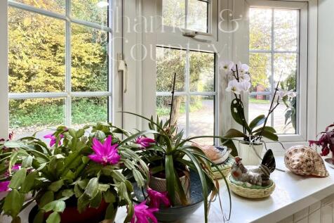 Kitchen view