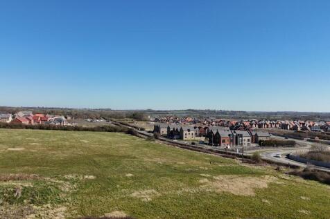 DJI_20250318112303_0019_D.JPG