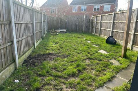 Garden T202502261103.jpg