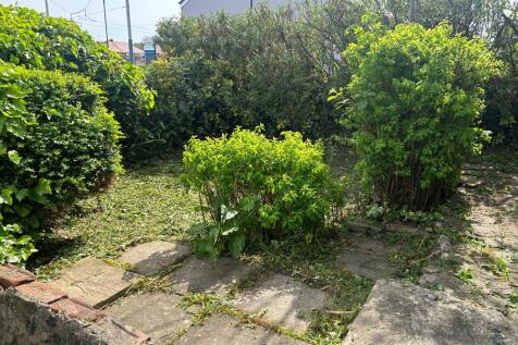 Garden T202505021303.jpg