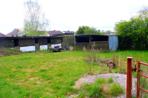 InShot_20250415_200423597