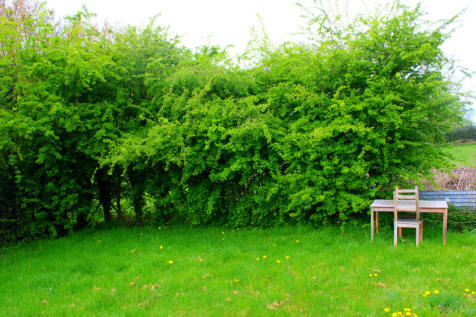 InShot_20250415_201058538