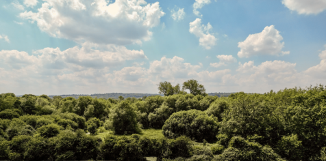 Plot 90 - View