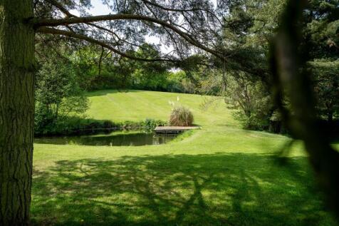 Property Image 44