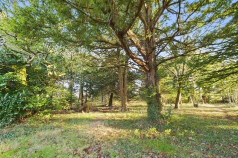 Property Image 26