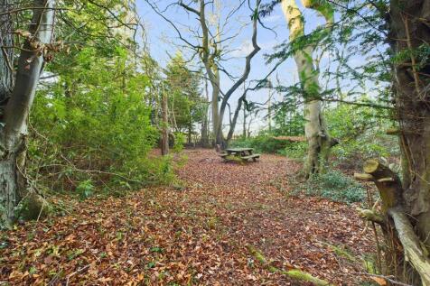 Property Image 27