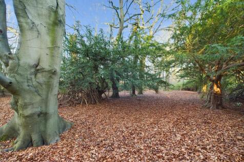 Property Image 28