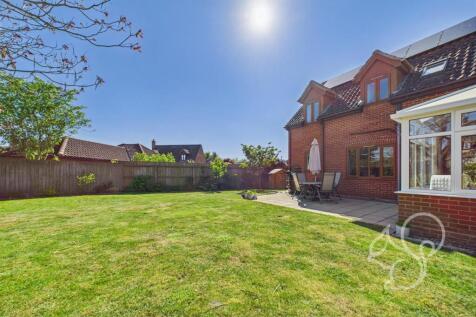Rear of Property