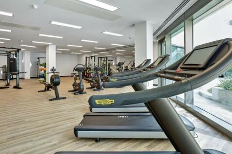 gym.jpeg