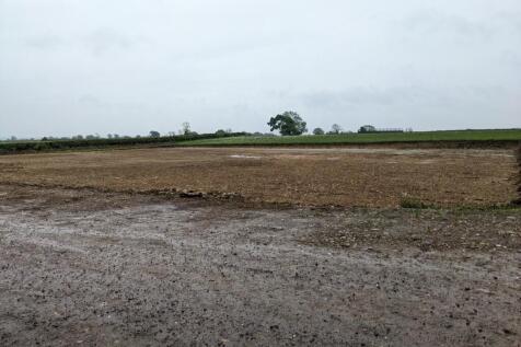 PXL_20240522_084802826