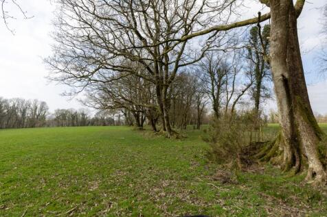 Property Image 44