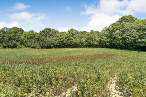 11-07-2025__15-33-51_IMG_0568.lYvVO