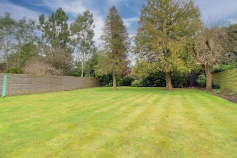 IMG_6702-IMG_6704 copy 2.jpg