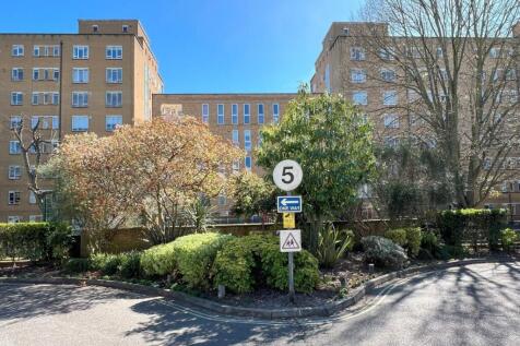 Sunny, tree-lined entrance to a residential bui...