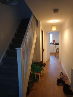 Well-lit entrance hallway with wooden flooring,...