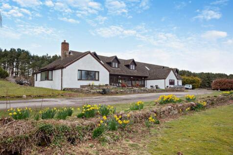 Property Image 64