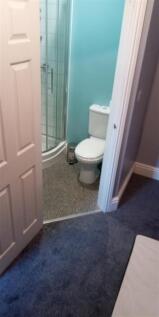 IMG_20250116_132041_932.jpg