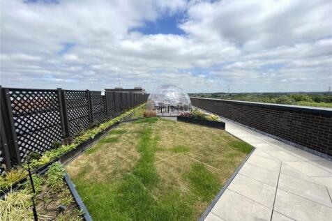Roof Terrace