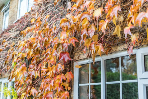 1375149-35-690def...