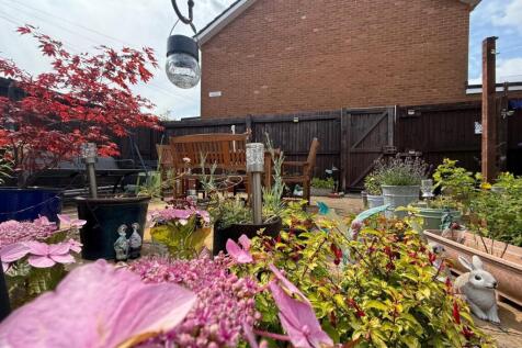 PHOTO-2025-07-03-20-26-47 5