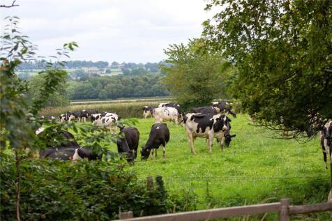 Shotton Farm