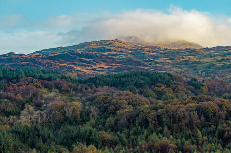 Mountain and Ffridd